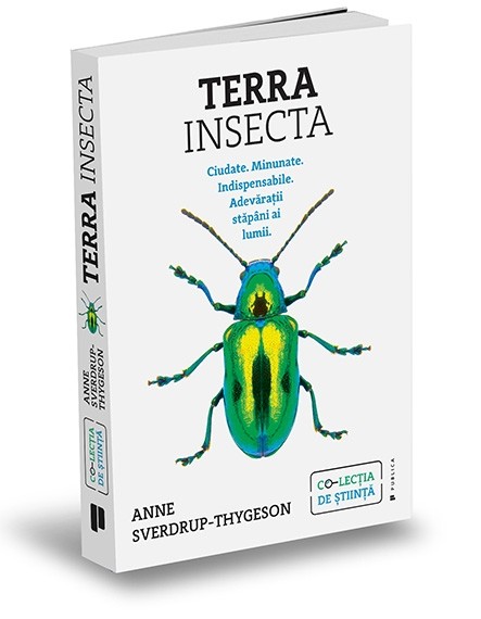 Terra Insecta