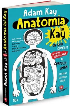 Anatomia lui Kay